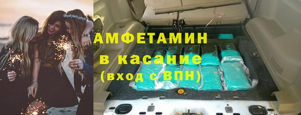 сатива Армянск