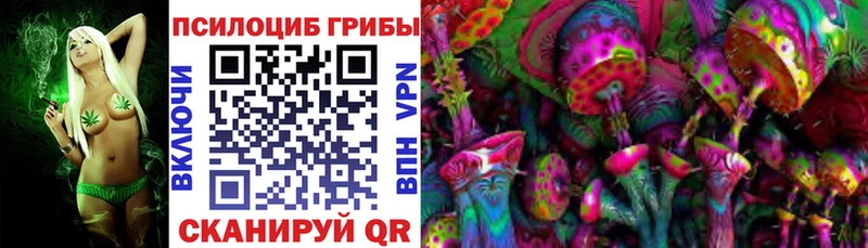 закладки  Купино  Галлюциногенные грибы MAGIC MUSHROOMS 